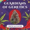Verpackung von Criticalz Kush